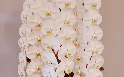 昇進・移転祝い