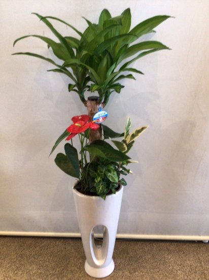 観葉植物寄せ鉢(陶器7寸)【K-005】