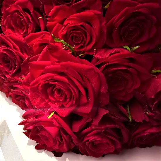 B-ROSE1 花束(赤バラ)