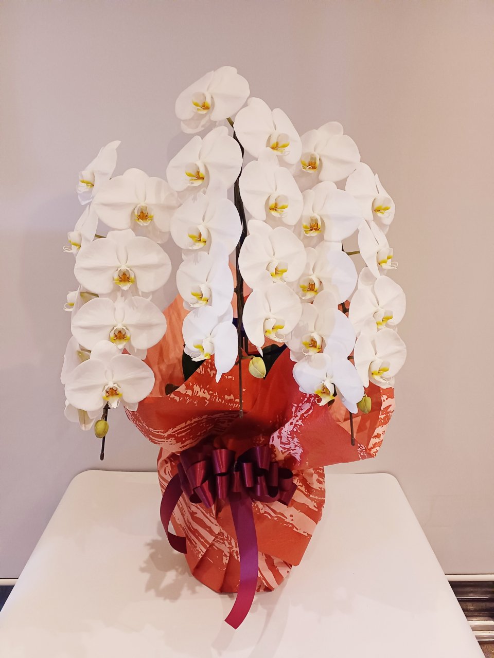 【販売停止】胡蝶蘭3本立(27輪~30輪)