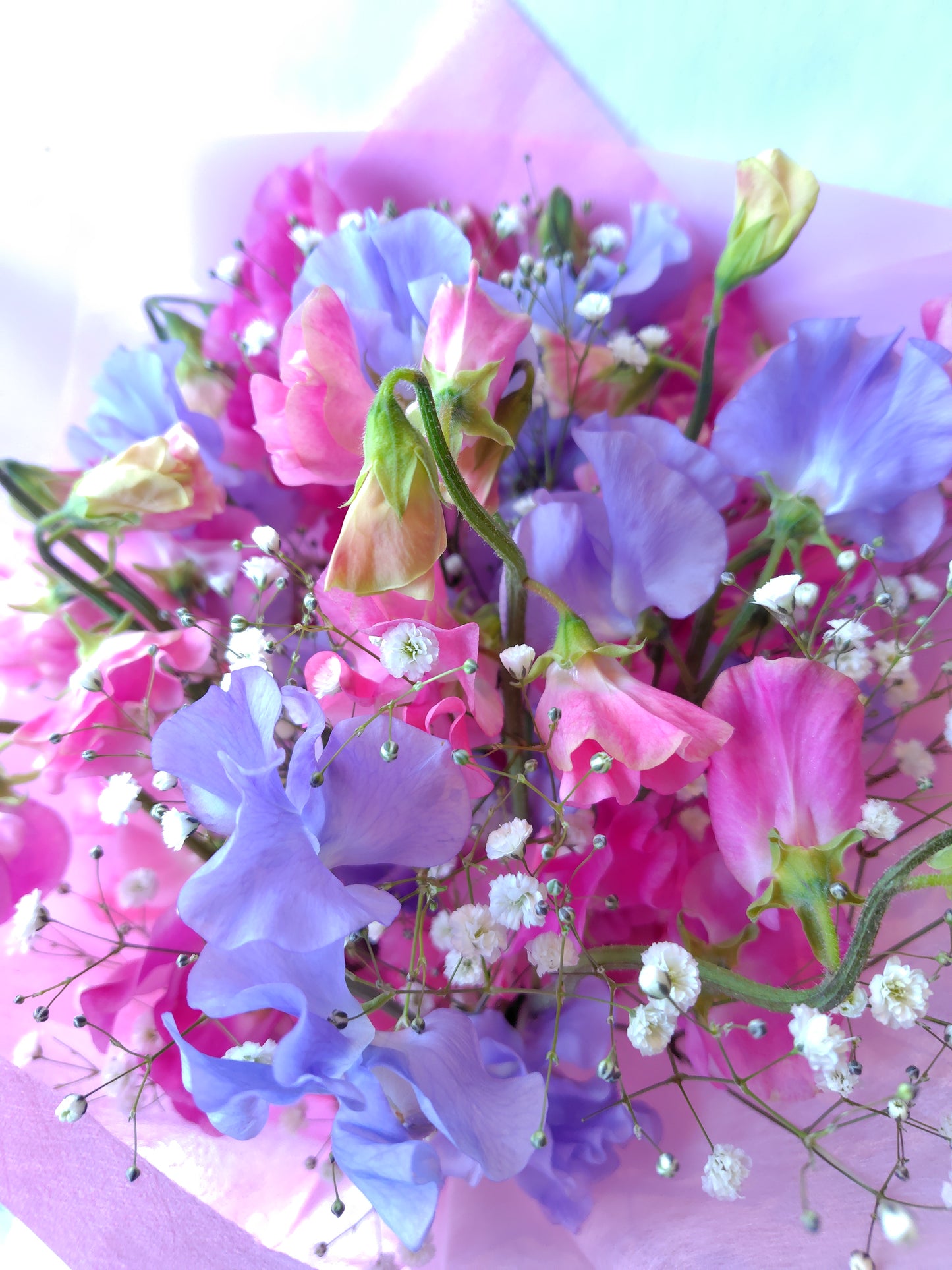 RB-0501【新たな門出をお祝い】スイトピーの花束