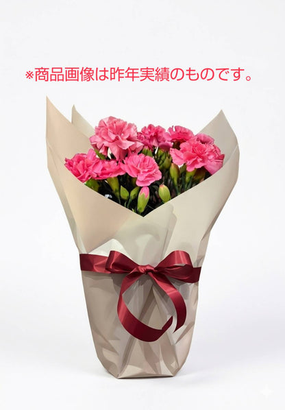 【母の日の定番】カーネーション (送料込み・母の日メッセージカード付)
