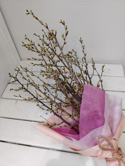RB-0502 【おうちでお花見】さくらの花束