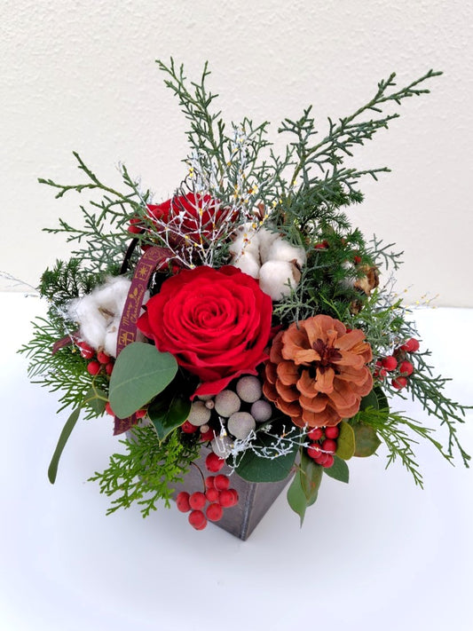 XB-0551クリスマスアレンジ