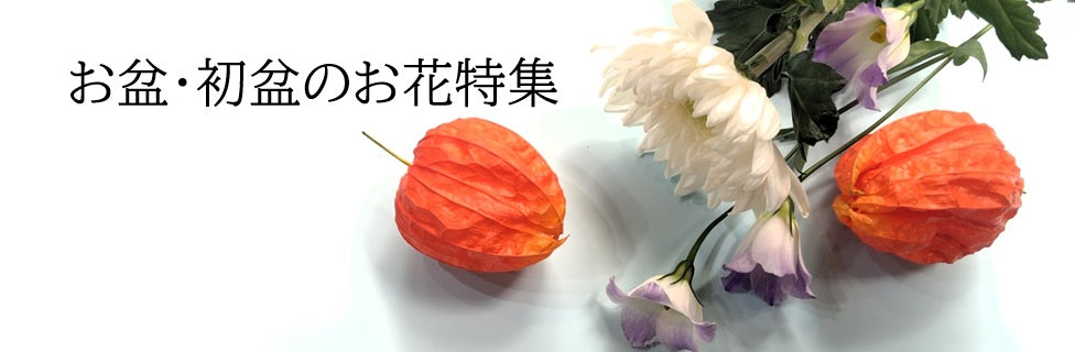 お盆特集